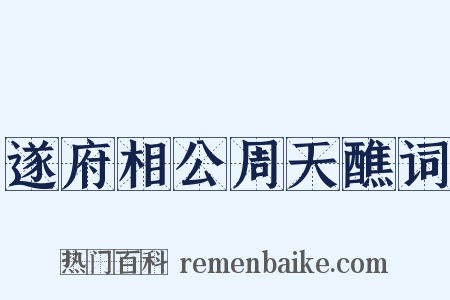 遂府相公周天醮词是什么意思的图片